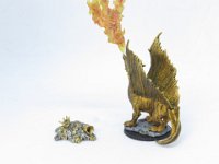 IMG 2447  Golden Dragon Wyrmling