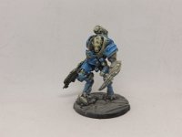 IMG 2514  Blue Wolf